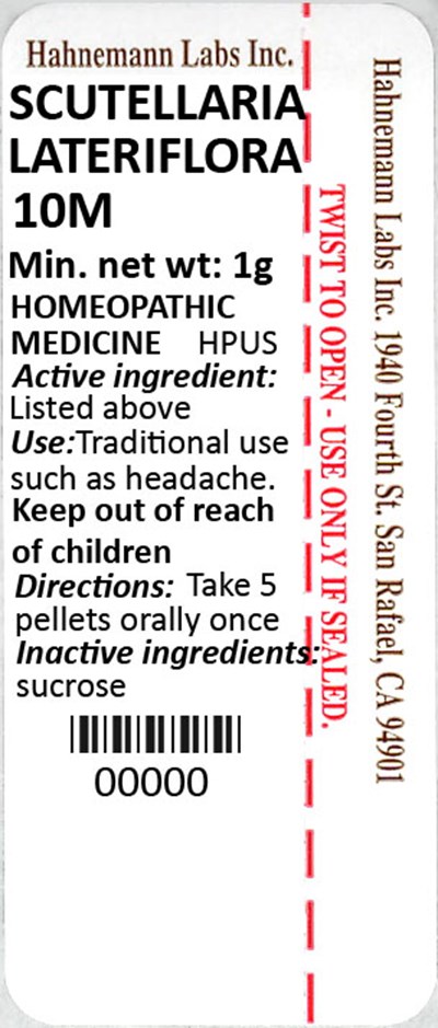 Scutellaria Lateriflora 10M 1g - Scutellaria Lateriflora 10M 1g